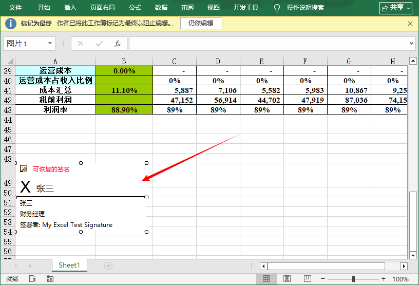 包含已签署姓名的Excel可见签名行