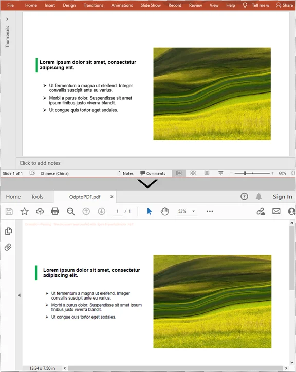 C# 批量转换 ODP 为 PDF 的输出文件预览