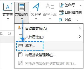在 Microsoft Word 中打开域对话框