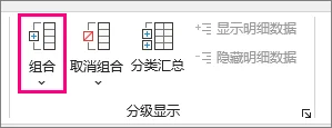 在 Excel 数据选项卡的分级显示区域中使用组合命令对所选行进行分组